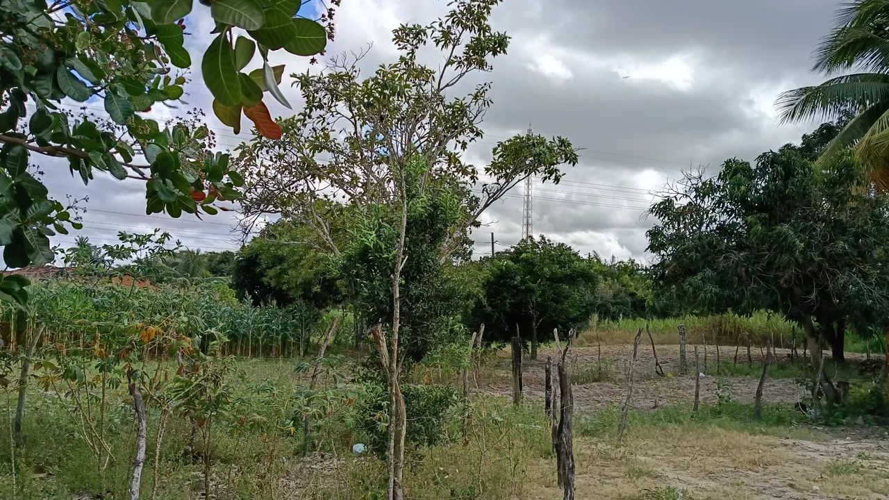Vendo lotes em Maruim/SE - Foto 5