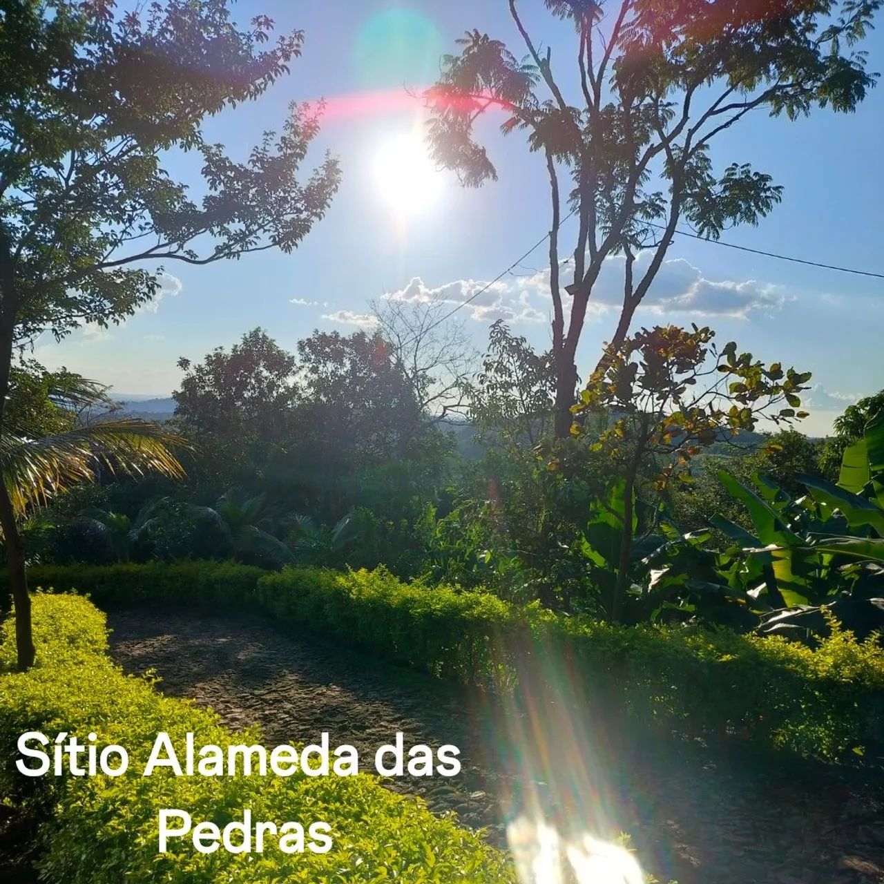 Aluguel de Sítio  - Foto 4