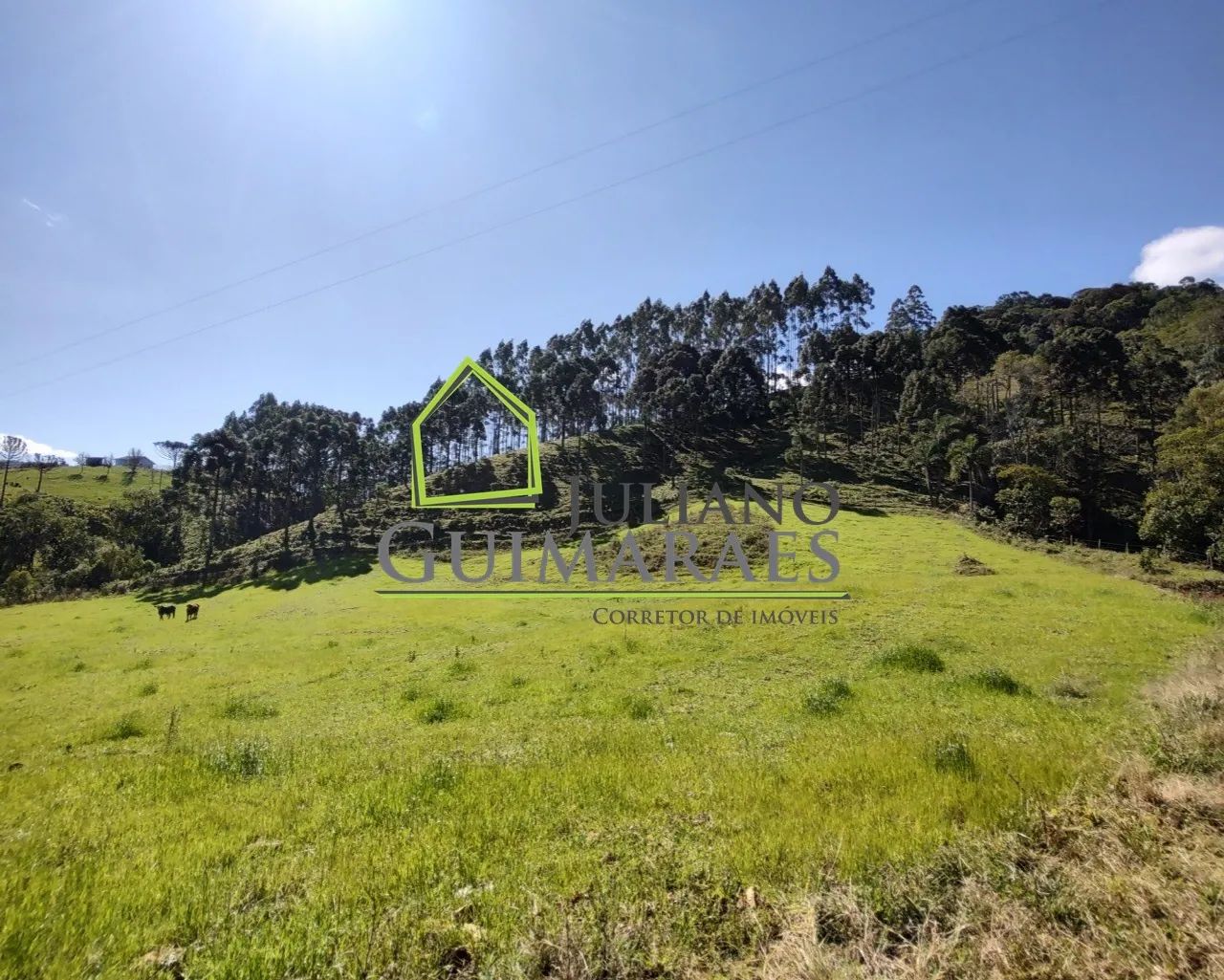 TERRENO á venda em ANITÁPOLIS SC - Foto 5