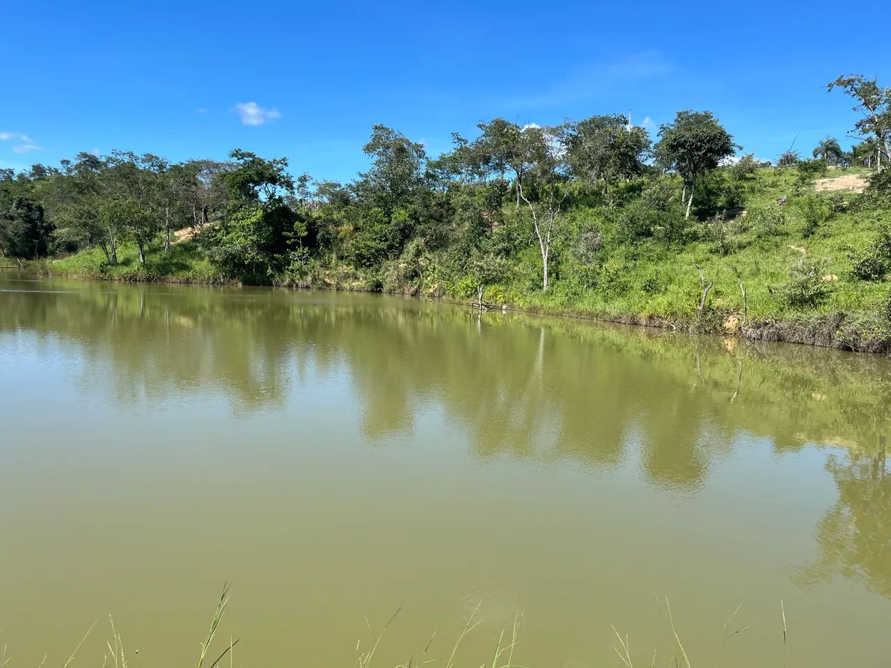 Fazenda Produtiva - Foto 15