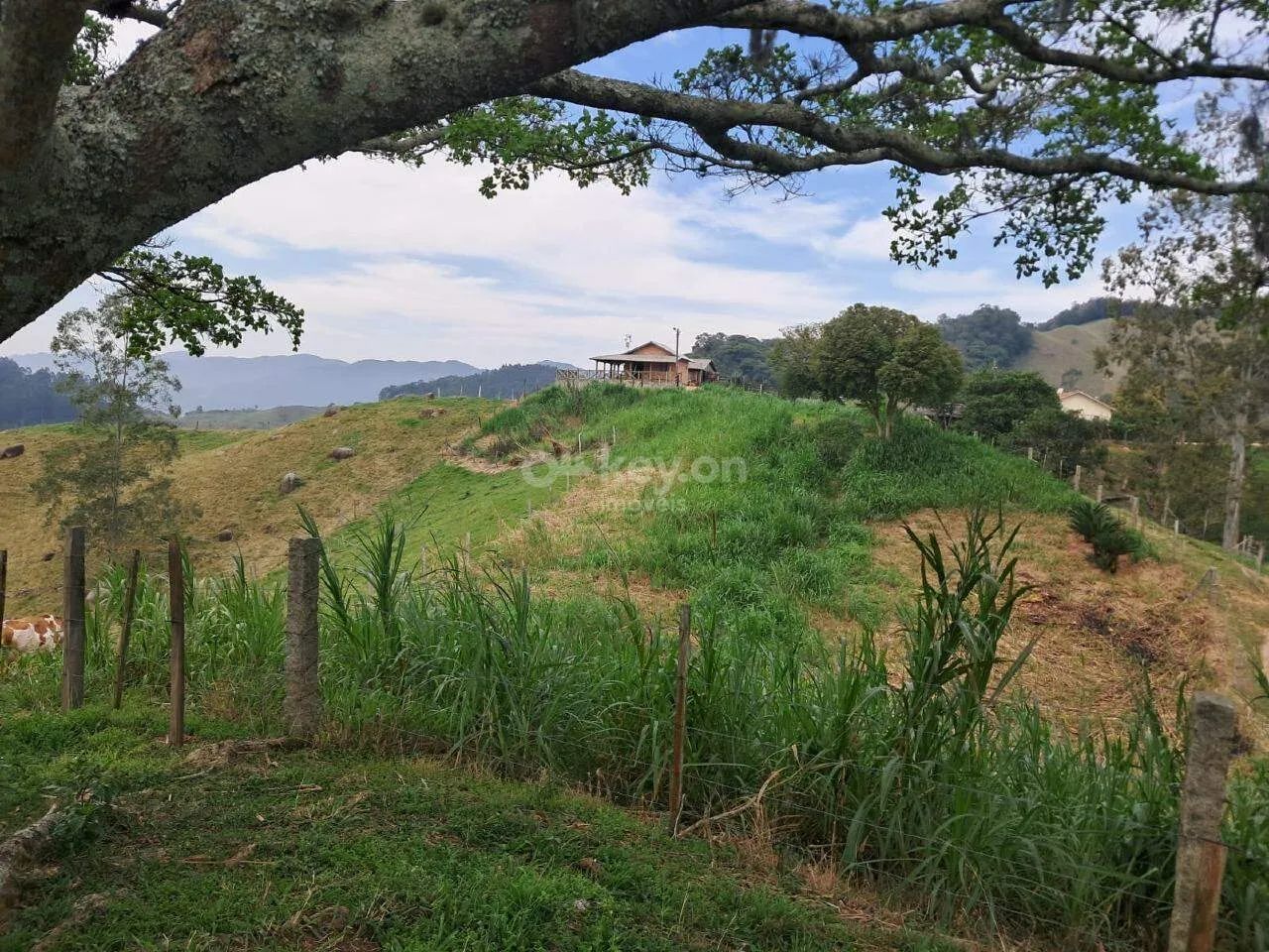 Sítio à venda em Gravatal, SC, com 56.042 m² e 3 quartos - Foto 5