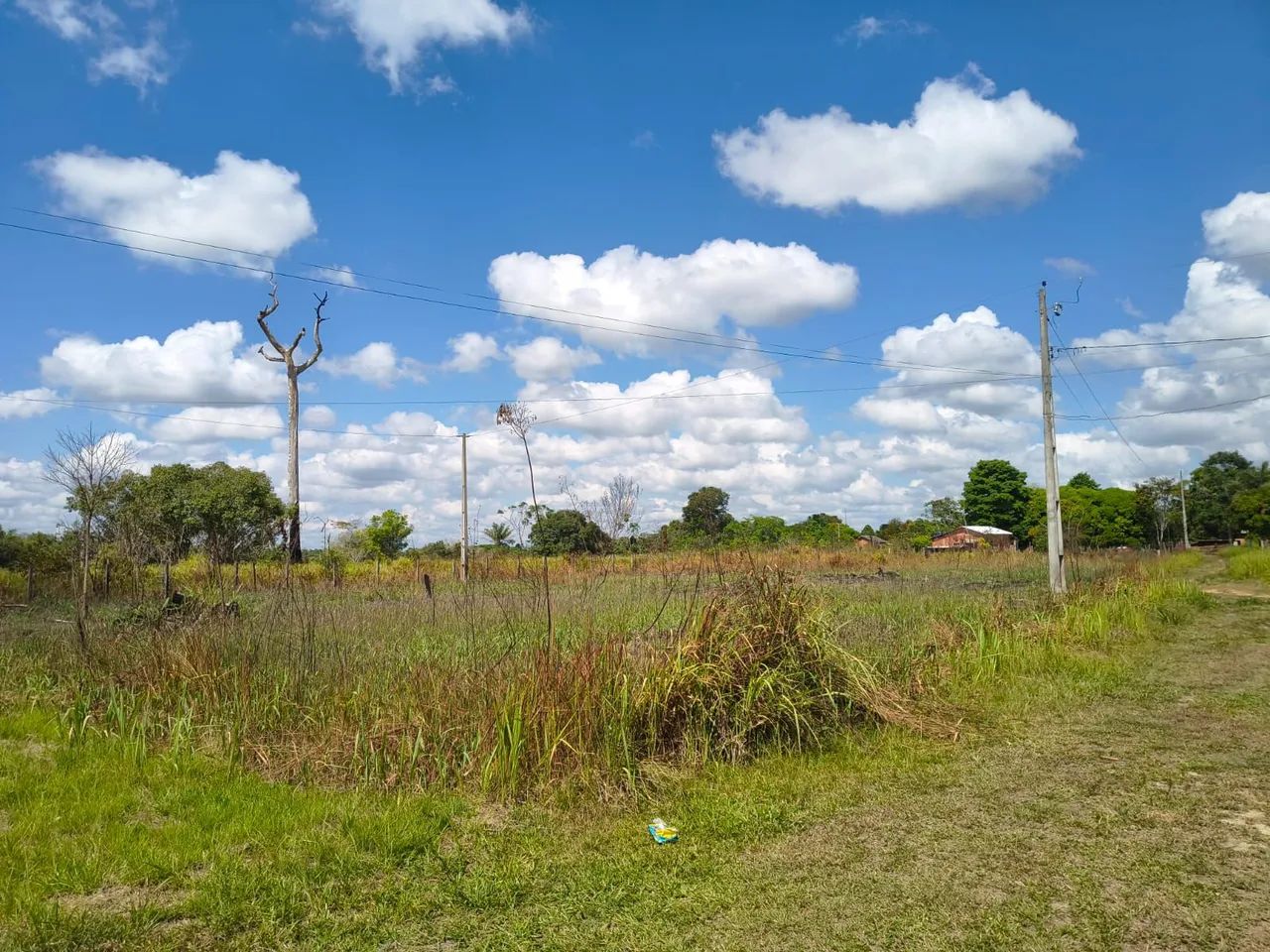 Vende-se - Foto 2
