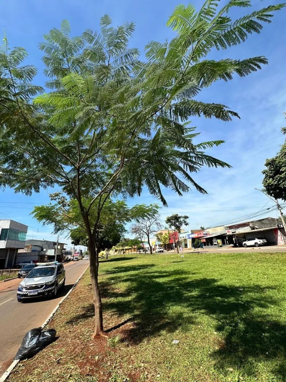 Alugo galpão comercial - Foto 3