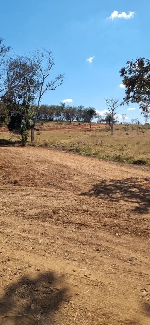 Fazendinhas de 2Ha em Matozinhos - Foto 4