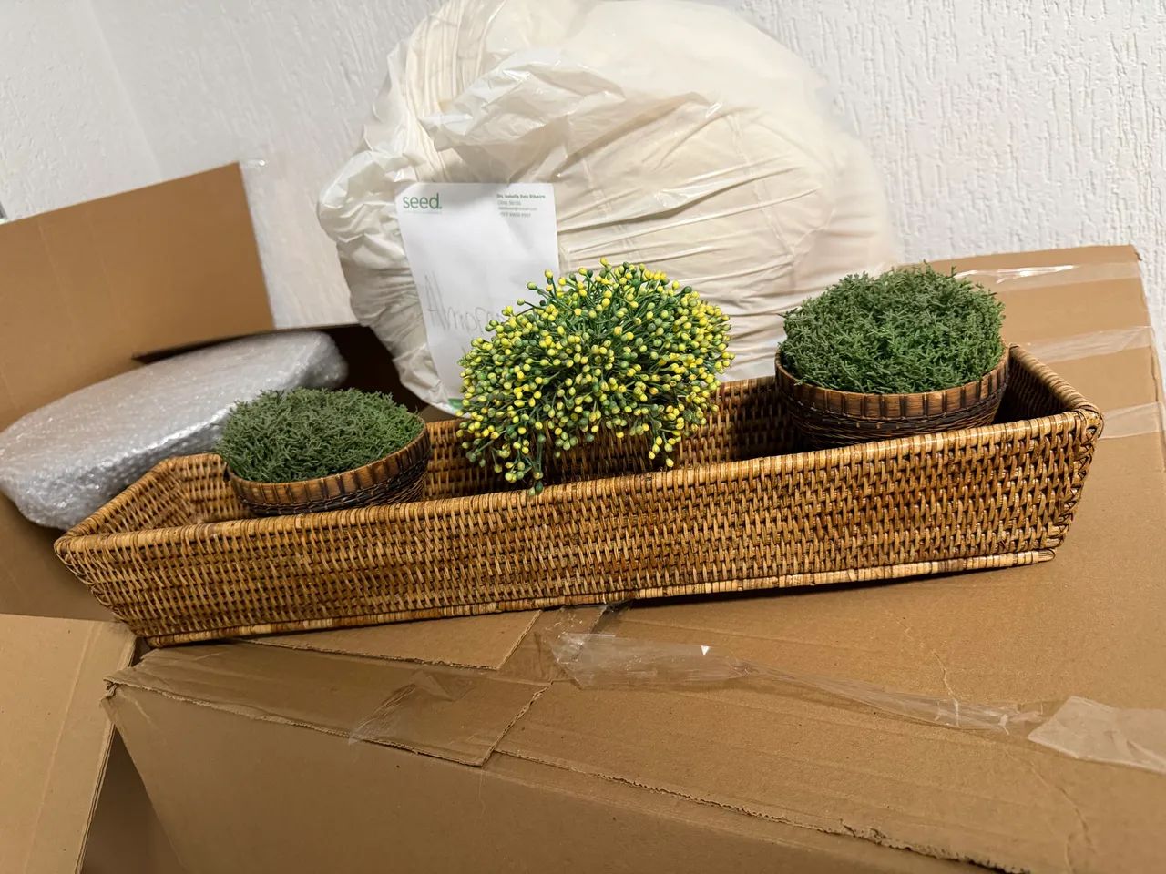 Decoração cachepô planta