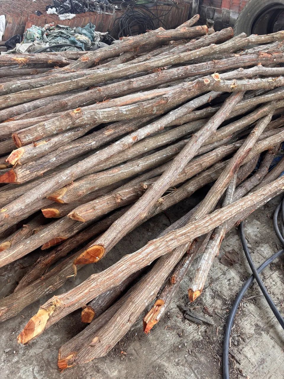 Mockingbird Posts64985880890881120