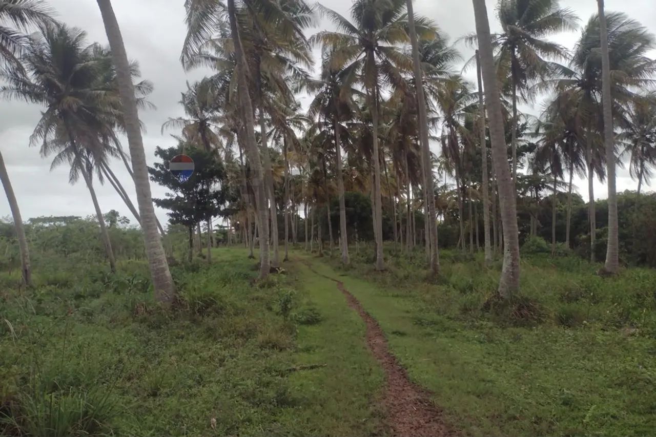 sítio em marechal 12.019,00 de área total . - Foto 2