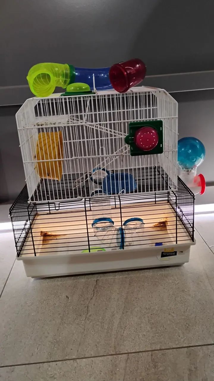 Casinha completa hamster usada  - Foto 2