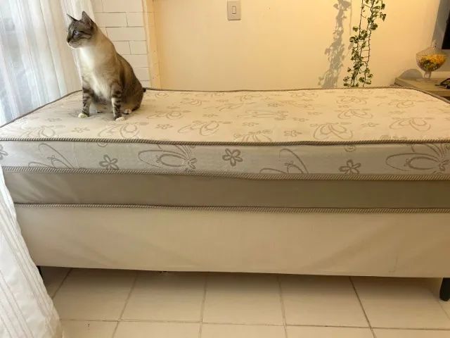 Cama de solteiro por R$ 200  - Foto 4