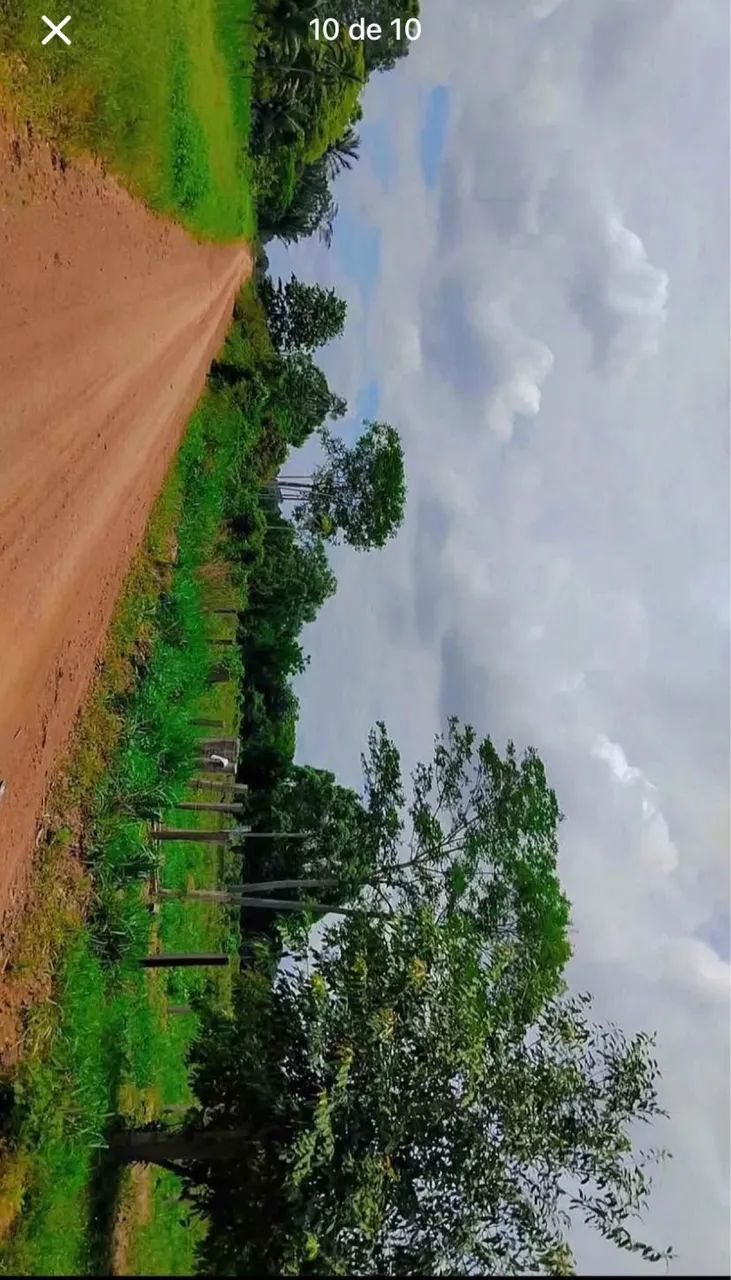 Vendo sítio próximo ao Candeias  - Foto 3