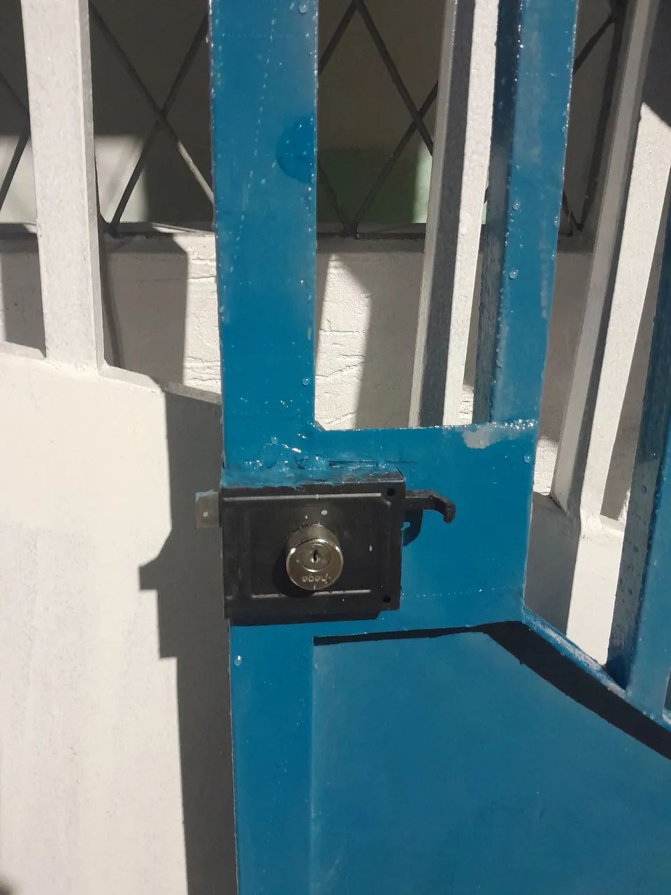 Portão  - Foto 2