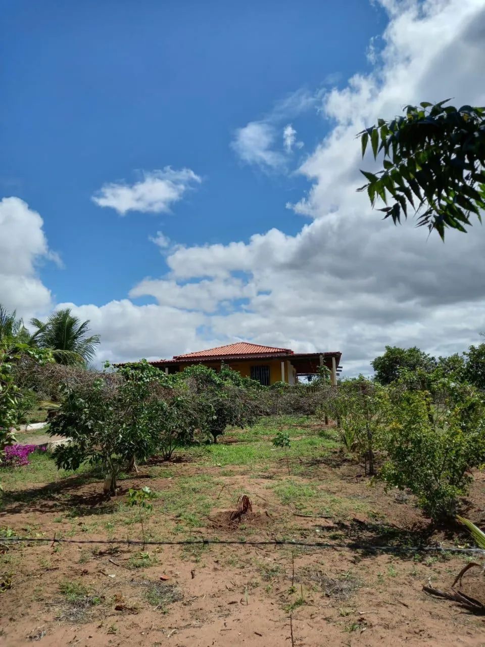 Terreno em Euclides da Cunha - Foto 5