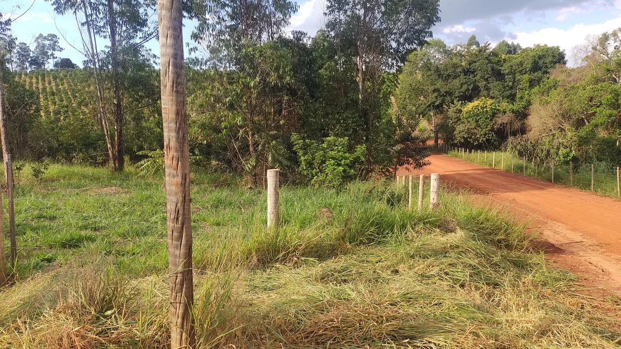 Vendo chácara em Belo vale de 2000 mt - Foto 4