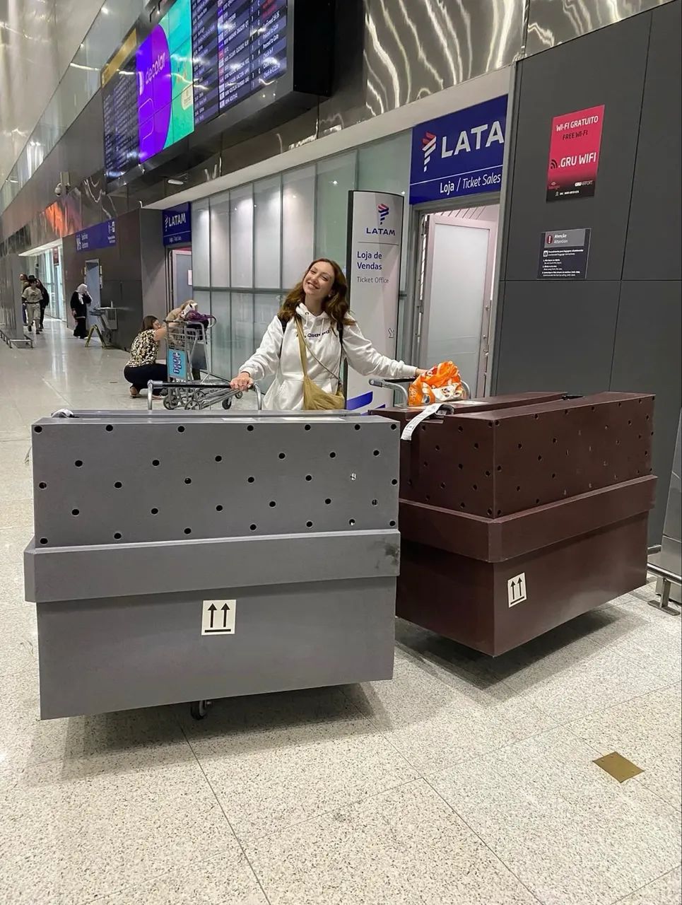 Caixas Padrão IATA Transporte Pet Aéreo 
