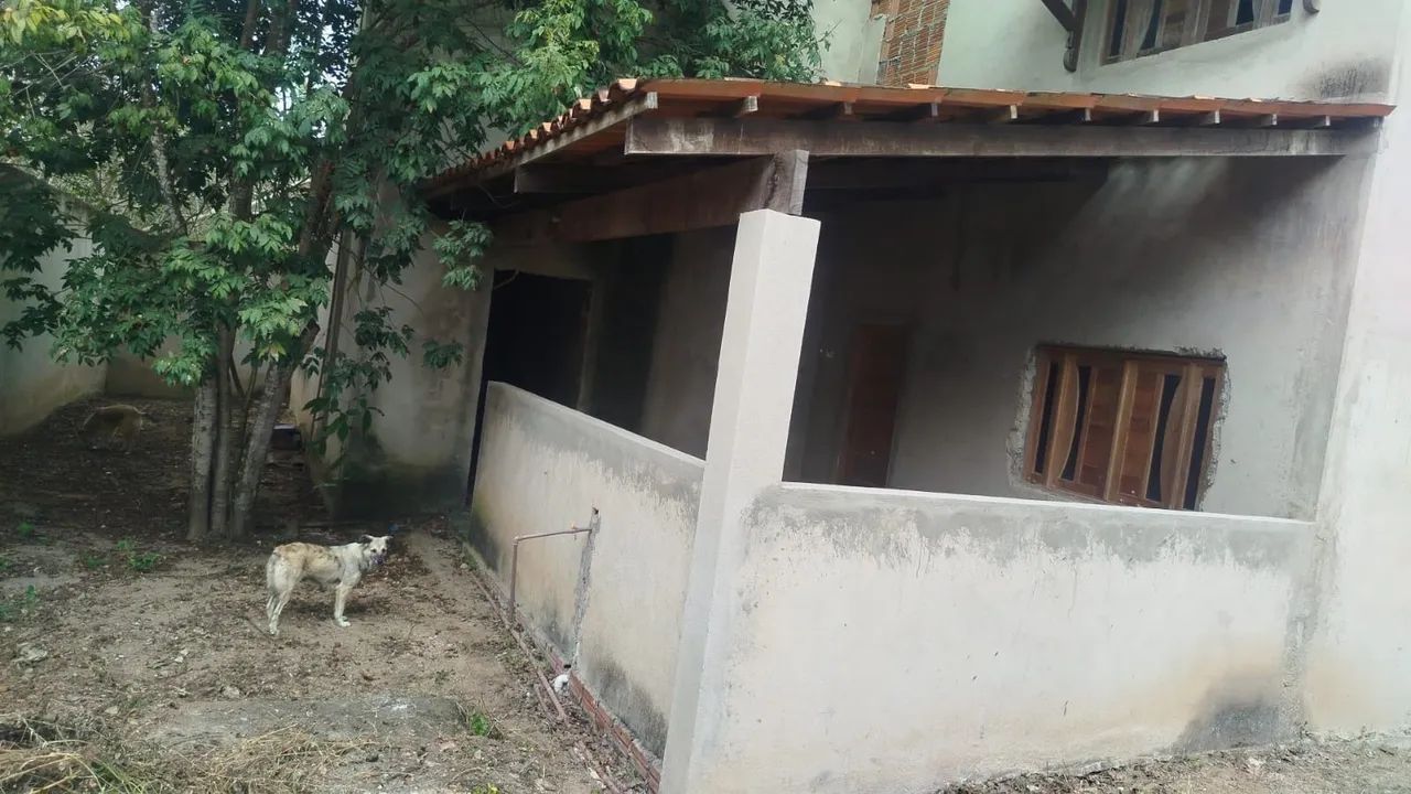 Chácara pra vender no xique xique  - Foto 5