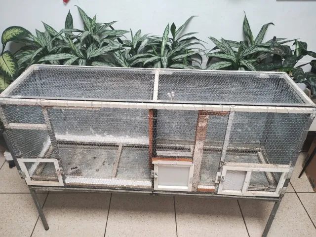 Viveiro para aves em geral - Foto 2