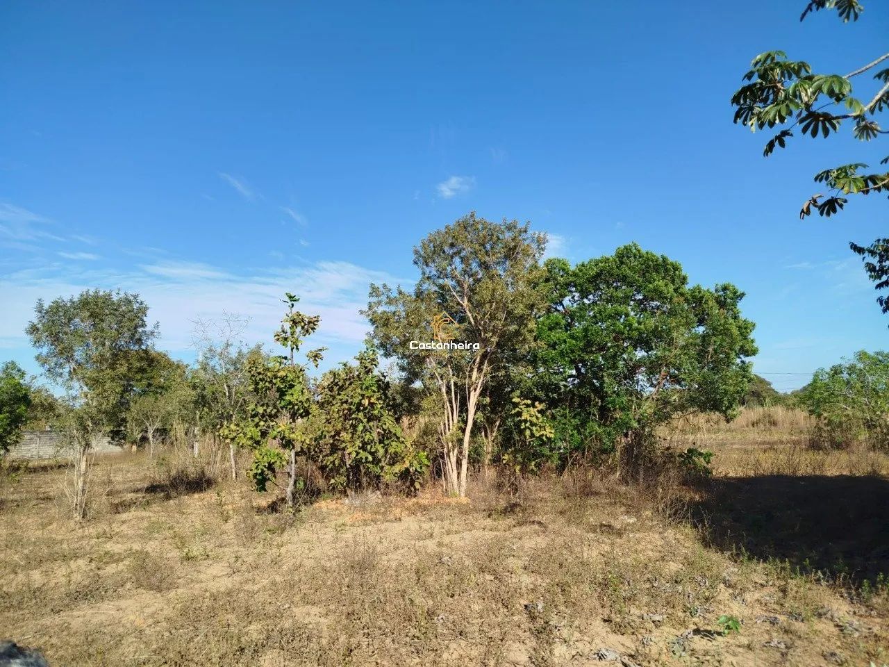 Chácara | Sítio - 4.550 m² - Expansão Sul - Taquari - Foto 4