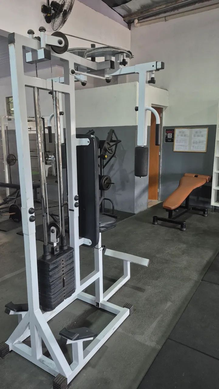 Voador dorsal - Foto 2