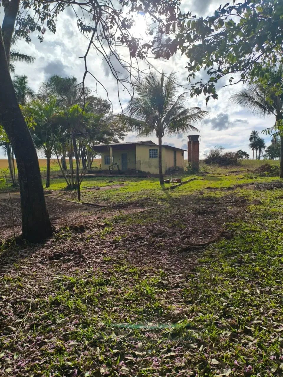 CÓD 593  Chácara à Venda | Sidrolândia /MS - Foto 4