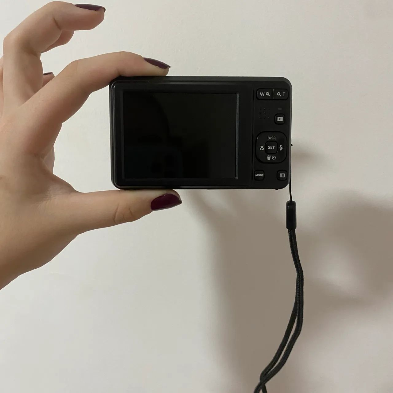 Camera FZ55