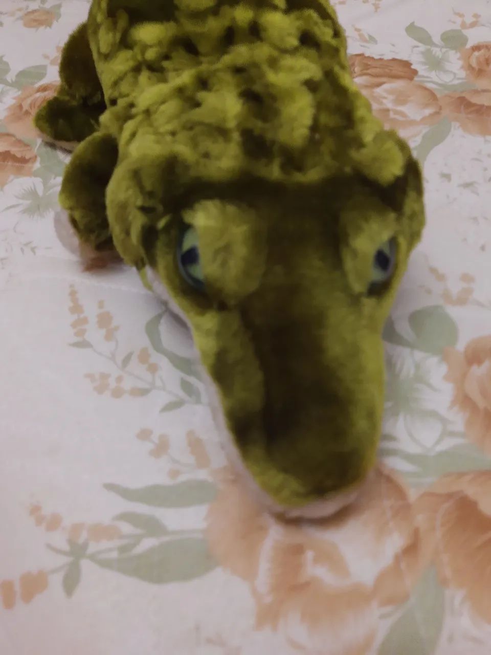 Crocodilo grande com filhotes