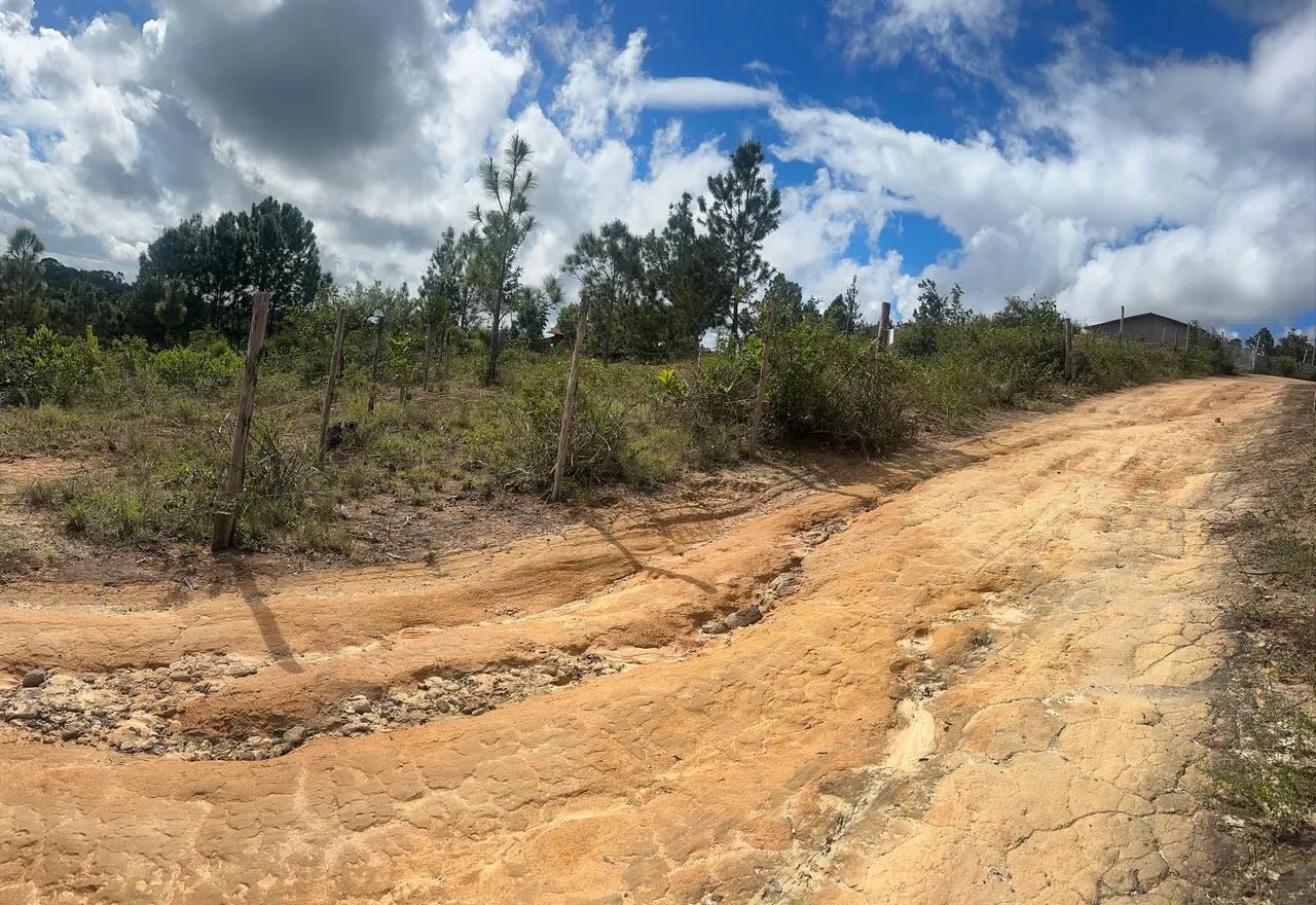 Terreno em Curralinho - Foto 3