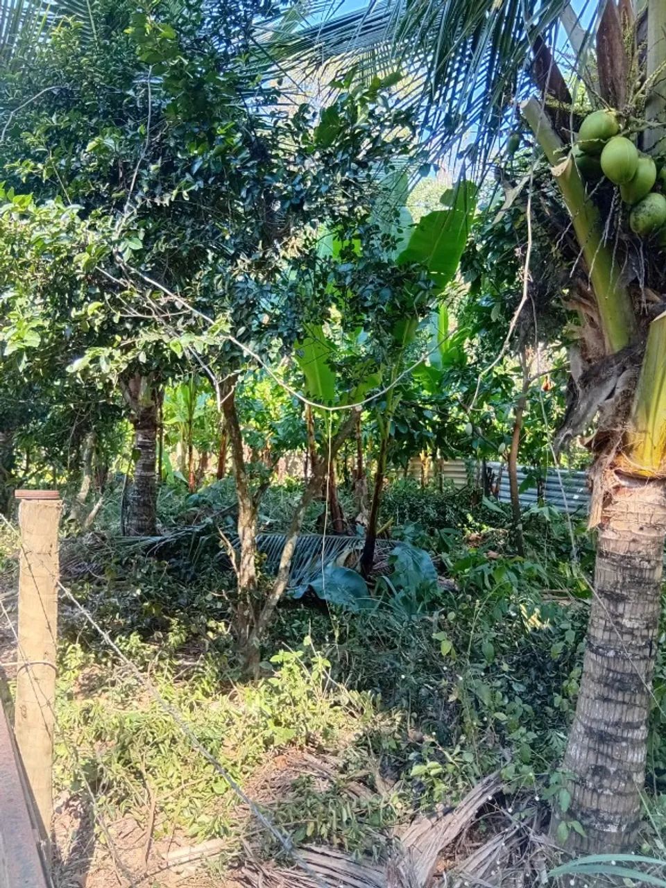 Vende-se uma chácara de 494m² - Foto 4