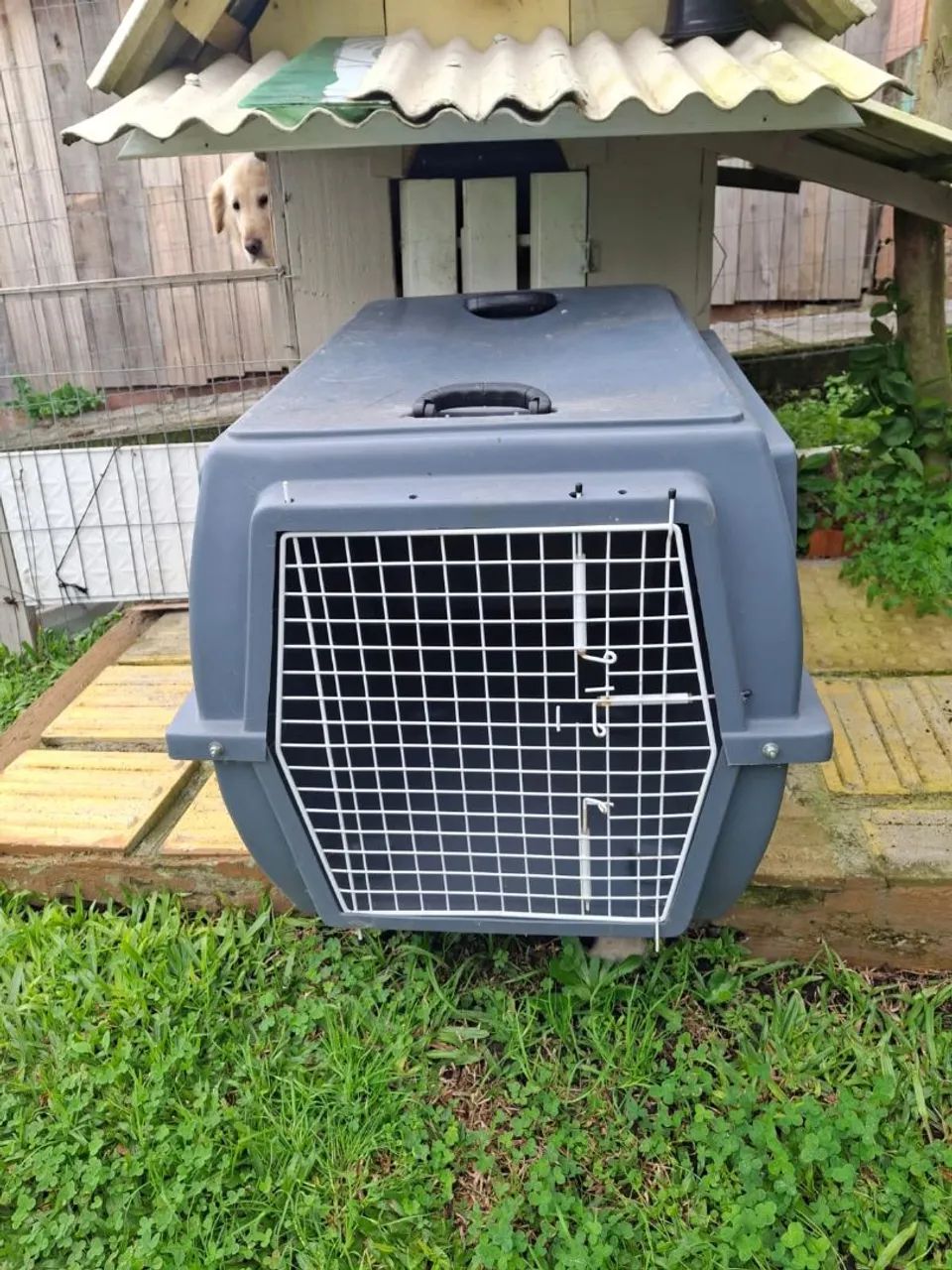 Caixa para transportar cães  - Foto 2