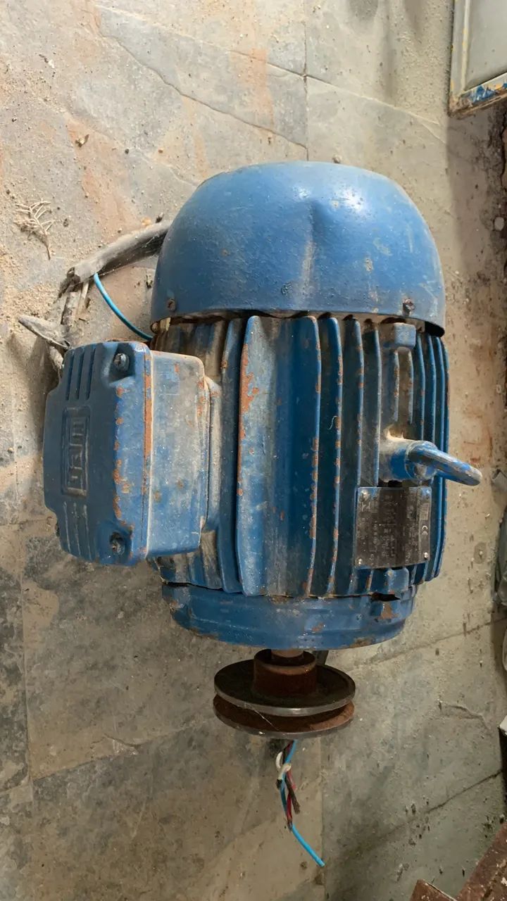 Motor Weg Gaiola 7,5 cv Baixa Rotação - Foto 3
