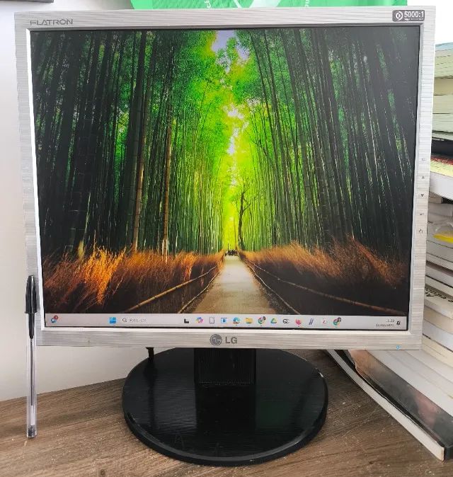 monitor LG Flatron L1753T-SF 17'