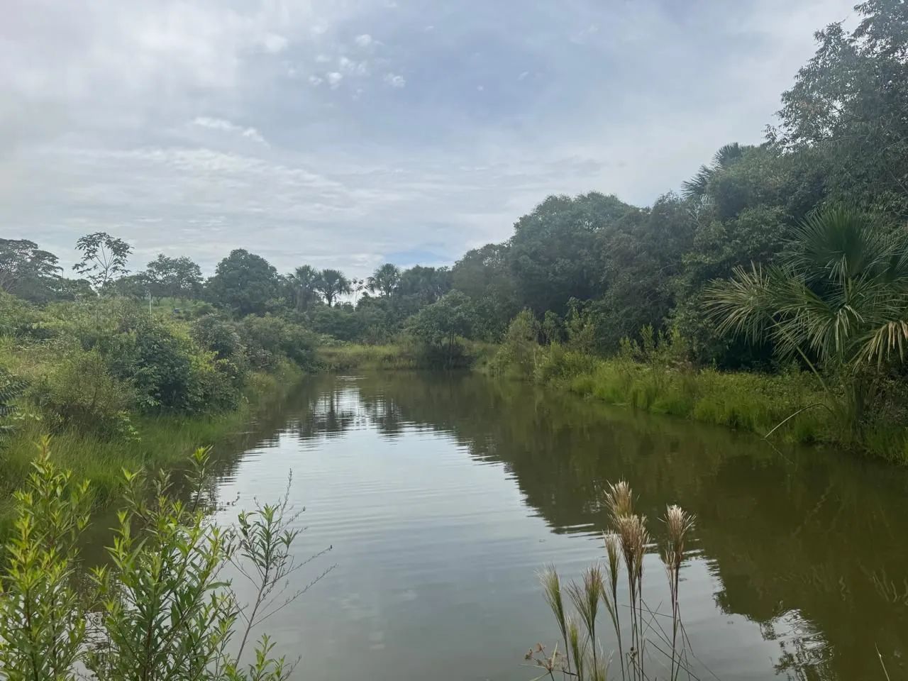 Fazenda