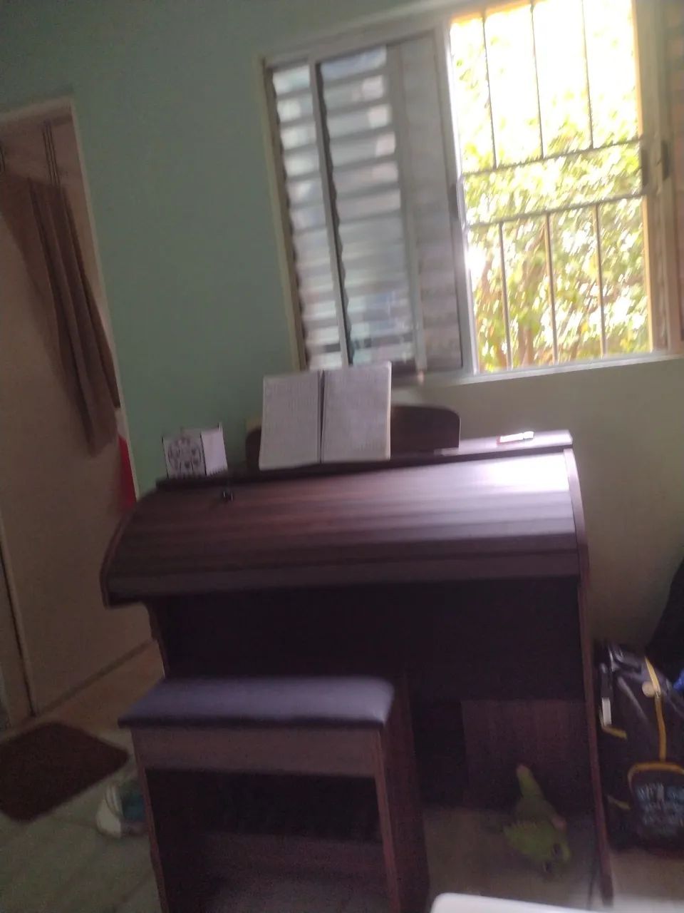Órgão eletrônico 