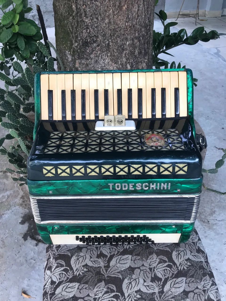 Acordeon Todeschini 48 baixos raridade - Foto 4