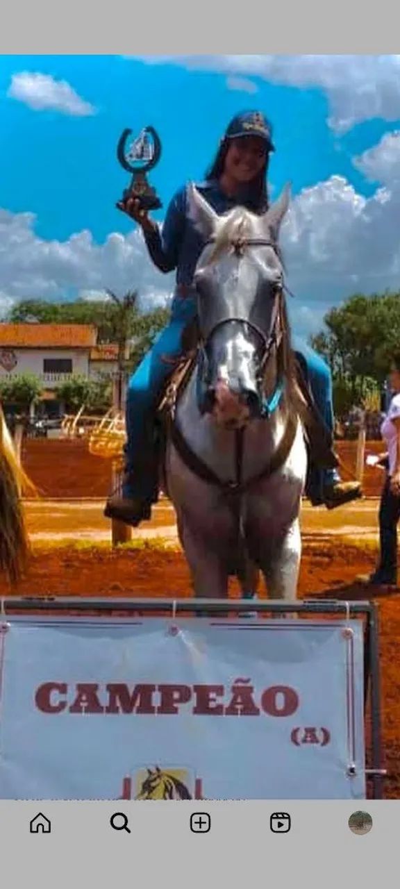 Cavalo quatro de minha  - Foto 2
