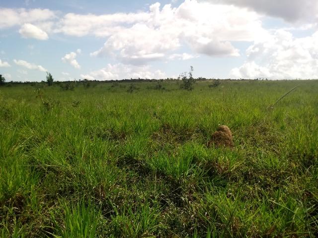 Fazenda em rosário oeste 784 hectares - Foto 5