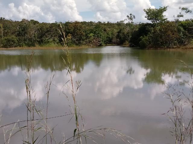 Fazenda em rosário oeste 784 hectares - Foto 6