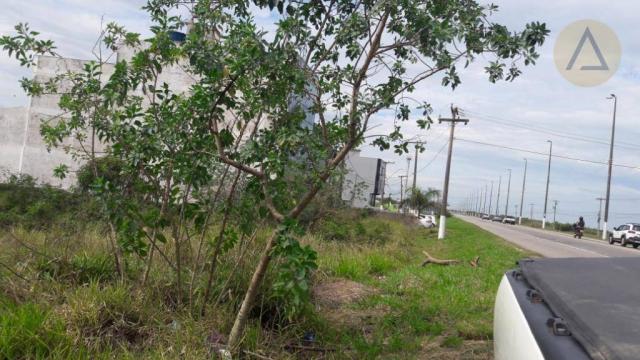 Terreno à venda, 20000 m² por r$ 9.000.000,00 - barra - macaé/rj - Foto 5