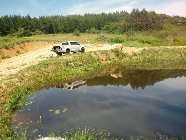 Terreno em lagoa dos ferreiras Mandirituba 24.200m 1 alqueire - Foto 6