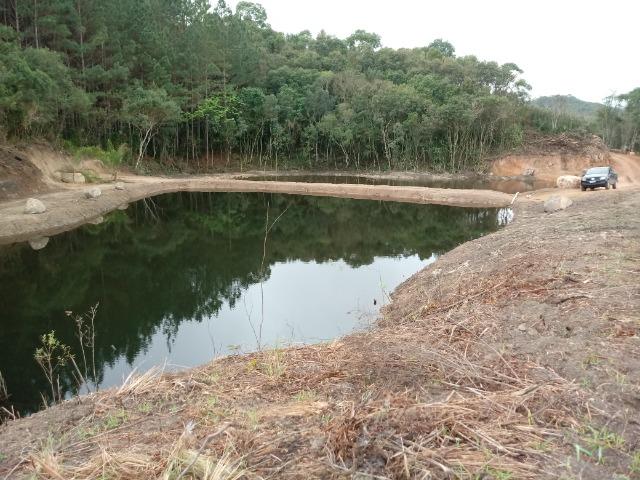 Terreno em lagoa dos ferreiras Mandirituba 24.200m 1 alqueire - Foto 4
