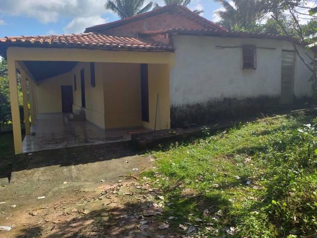 Vende-se sítio no cajupari próximo a expoema - Foto 7