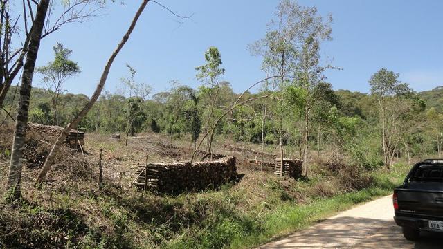 Área para chácara no pacotuba, Alm. tamandaré - Foto 2