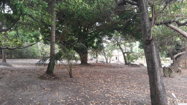 Vendo este lindo sítio em São José de Ribamar - Foto 6