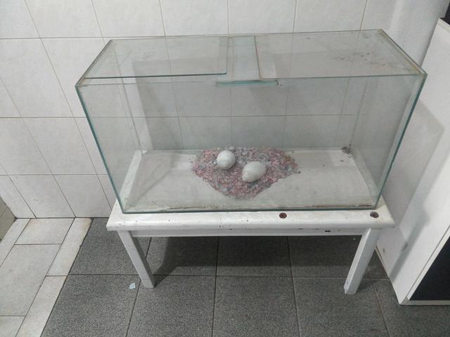Aquário