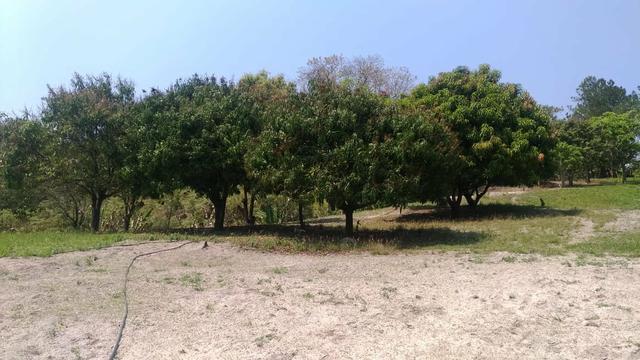 Chácara - Foto 3
