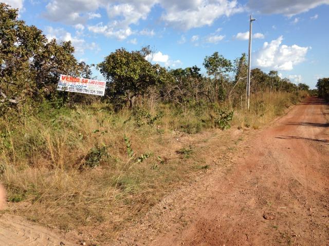 Terreno 5000 m2 na Guia - Foto 11