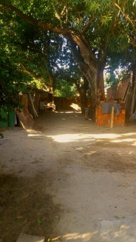 Vende- Se Uma Casa Com Um Sitio - Foto 2