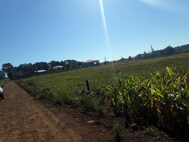Terreno - Foto 3