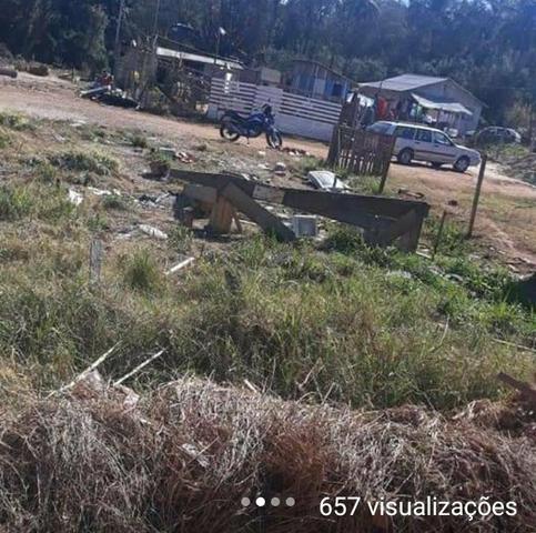Terreno araucária