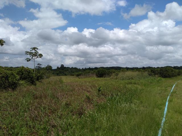 No Pará,175 hectares ha região de Castanhal-Pará por 1.400.000,00 documentada - Foto 9