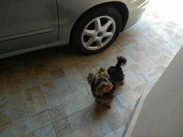Troco (Por Material de Construção) ou Vendo